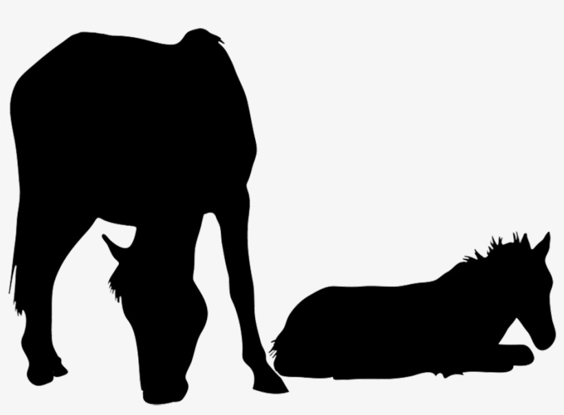 Mare And Foal Png, transparent png #864630