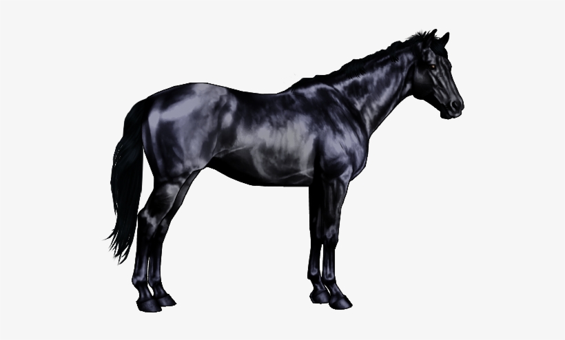 Black Is A Not So Common Color Among The Horse World - Breyer Quarter Horse, transparent png #864652