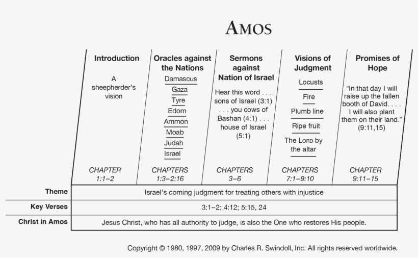 Amos Overview Chart - Document, transparent png #865120