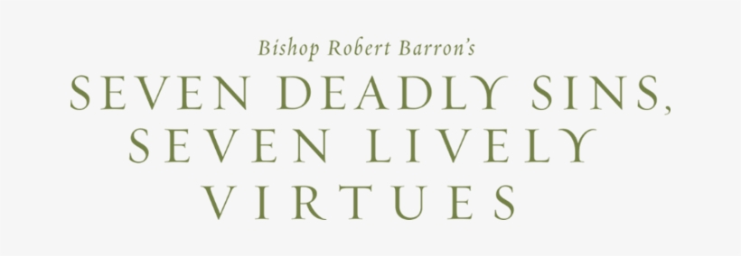 Bible Study - American Quarter Horse Association, transparent png #865641