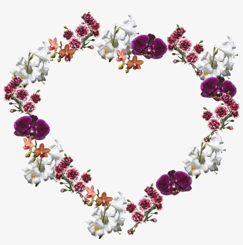 Orchid Flowers Frame Floral Carnations Love Heart - Flower Frame Photo Png, transparent png #865869