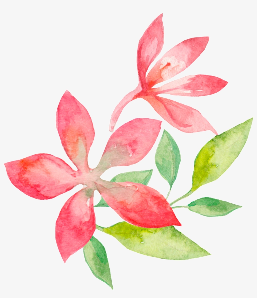 Concise Ornamental For Watercolor Flowers - Watercolor-grün-blätter-rosa Blumen Danken Ihnen Karte, transparent png #865890