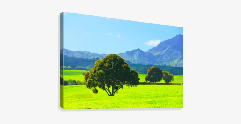 Green Tree In The Green Field With Green Mountain And - Saatchi Art, transparent png #868076