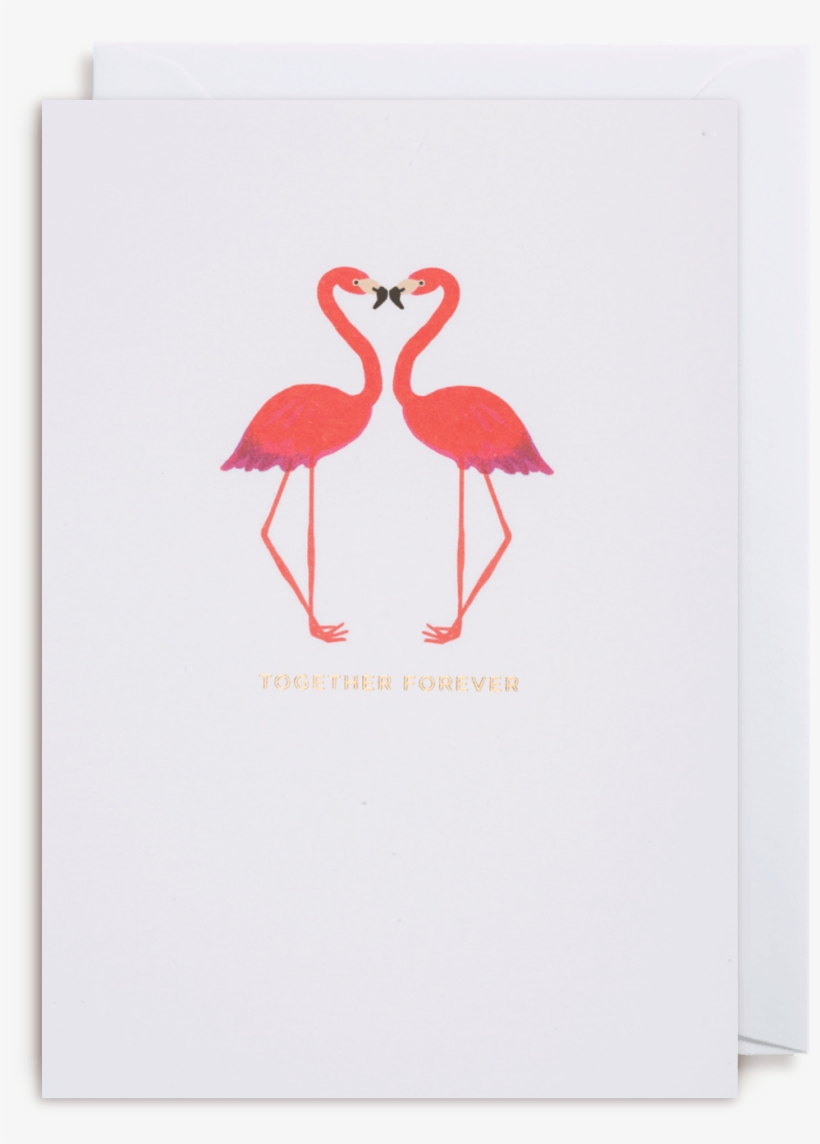 Kissing Card The Paperdashery - Flamingo, transparent png #868459