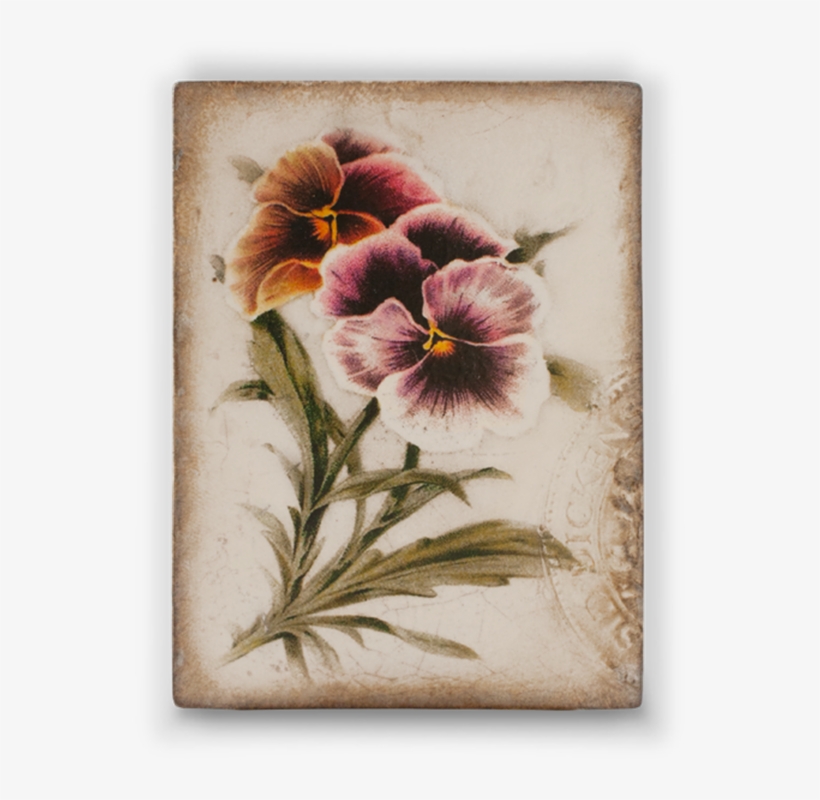 Love In Idleness - T 343, transparent png #869267