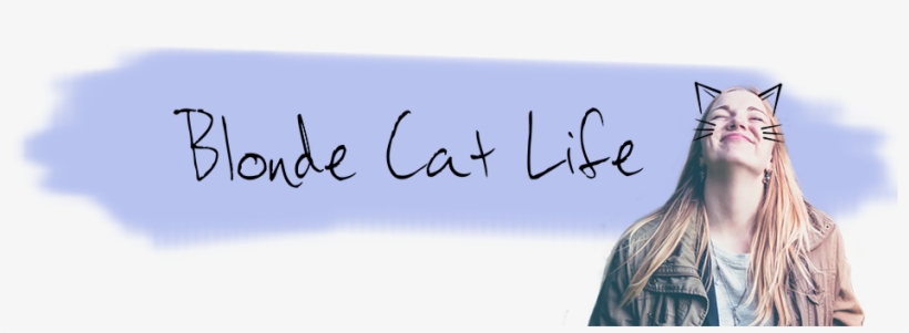 Cat, transparent png #869573