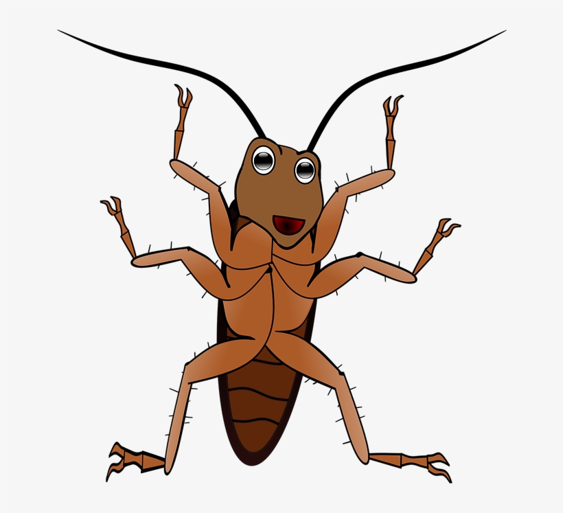 Antenna Clipart Ant แมลงสาบ การ์ตูน Png Free Transparent PNG