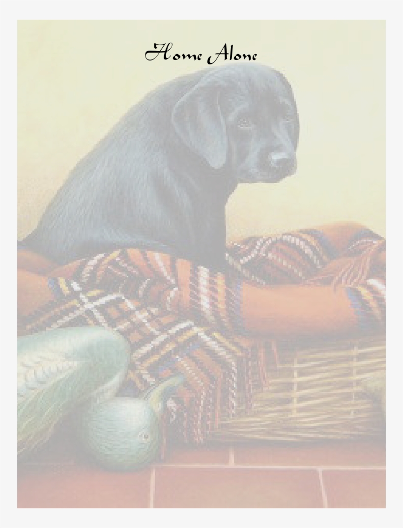 Old Site Home - Companion Dog, transparent png #8603086