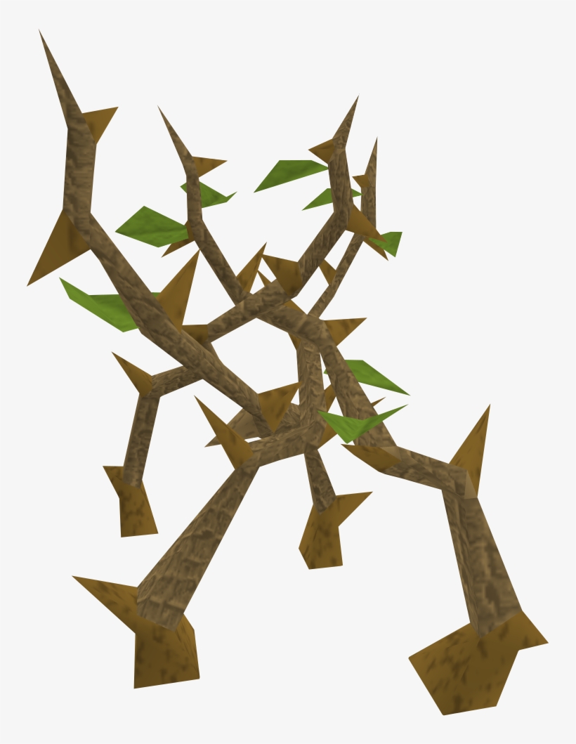 Light Jungle - Craft, transparent png #8603280
