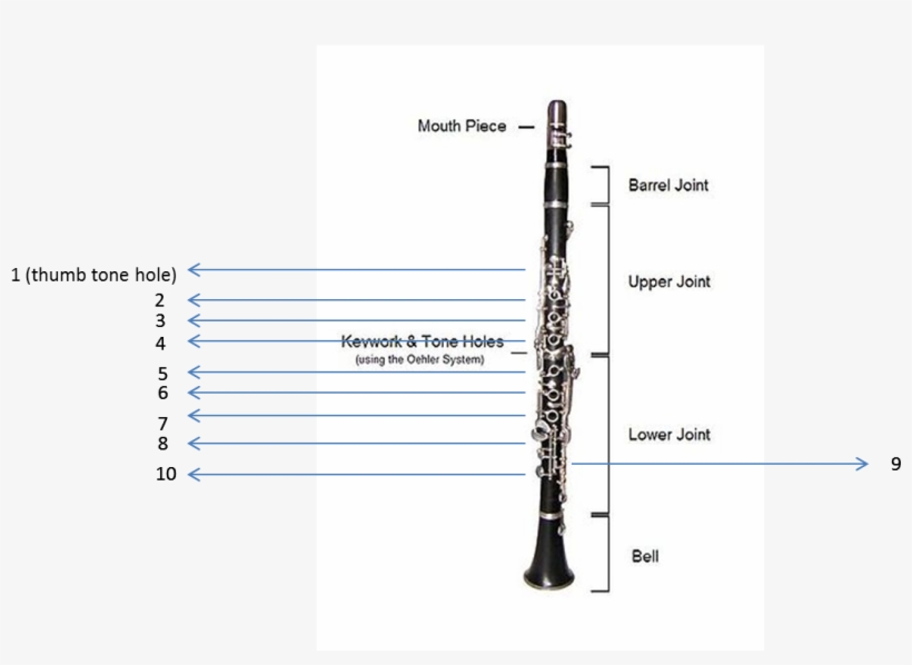 Banner Royalty Free Download Final Project Cmpt We - Clarinet Characteristics, transparent png #8603676