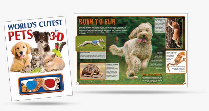 Dog Catches Something, transparent png #8603819