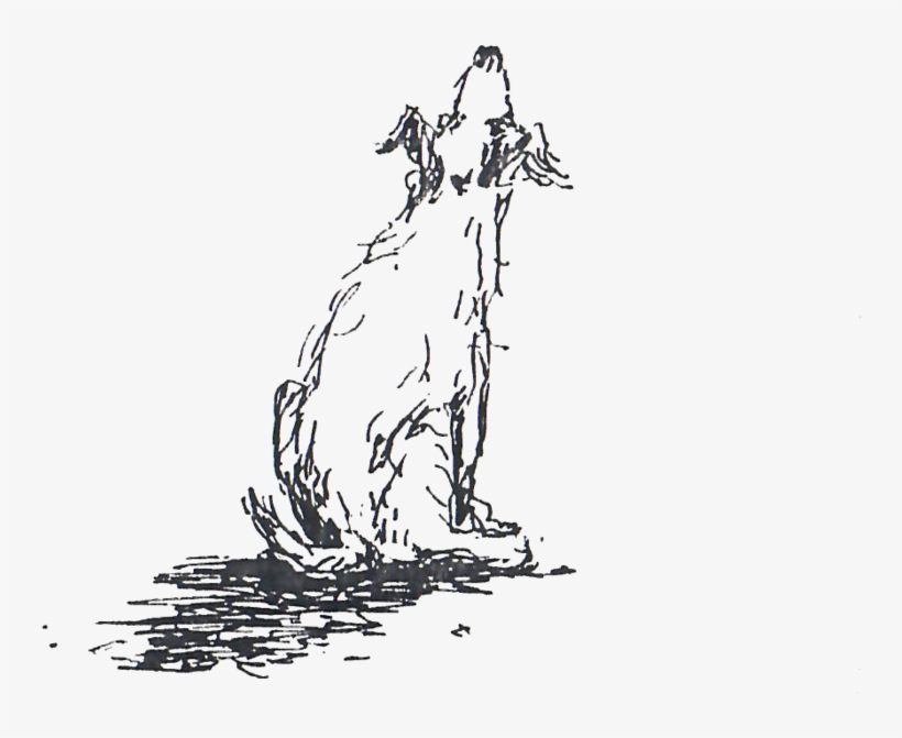 Pet - Sketch, transparent png #8604021