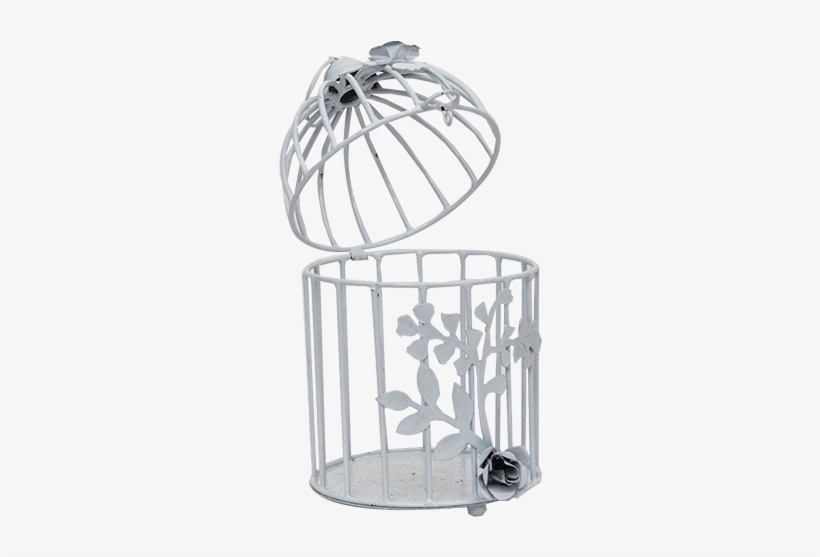 White Bird Cage - Cage, transparent png #8604844