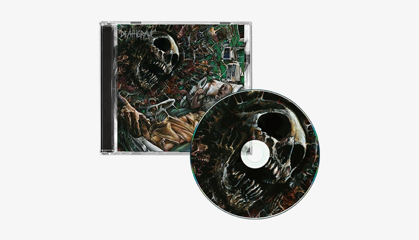 $9 - - So Real It's Now, transparent png #8605012