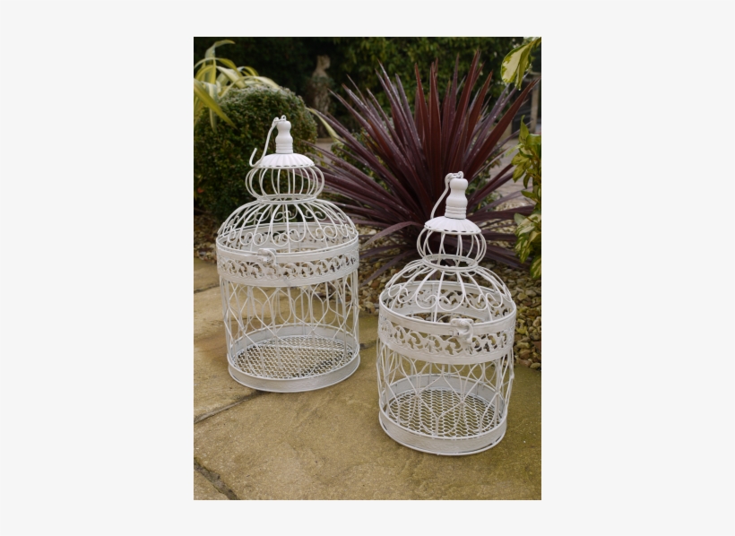 Cage, transparent png #8605270