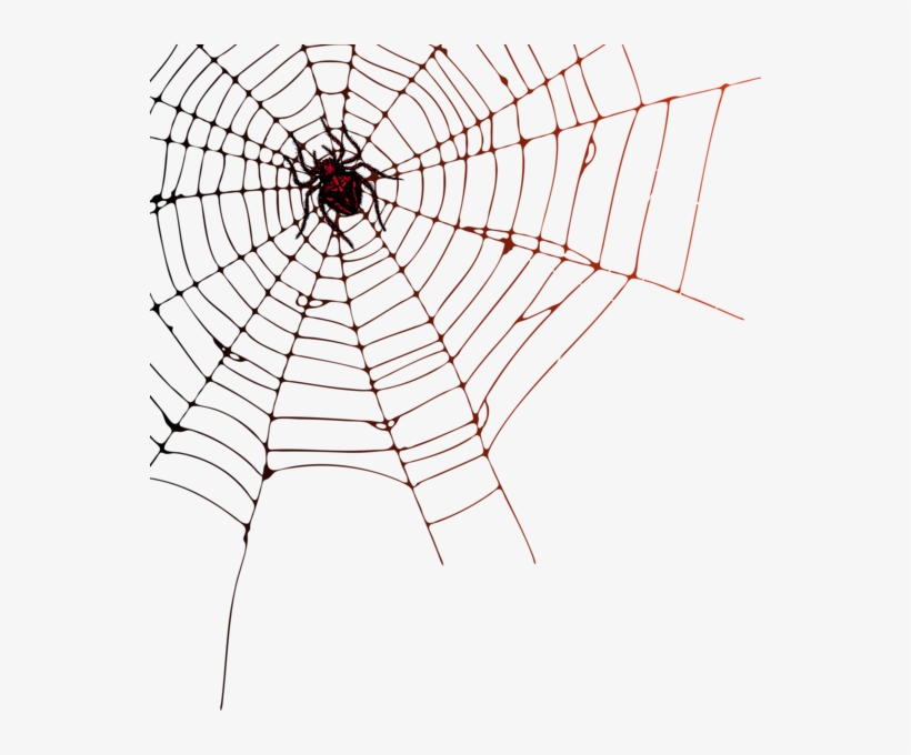 0, - Spider Web Png Transparent Background, transparent png #8607233