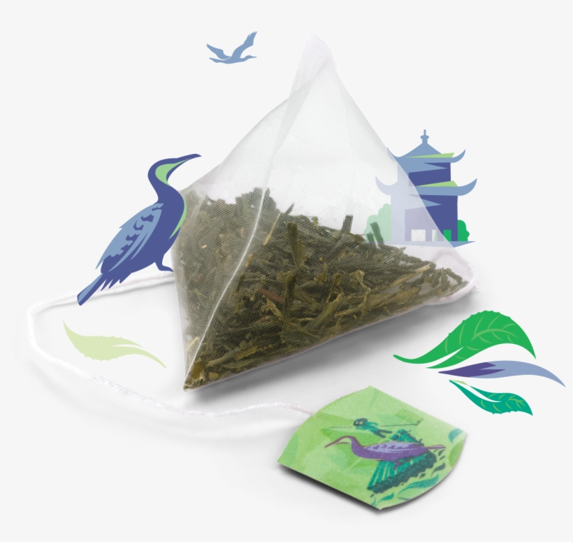 Discovery Collection Pure Sencha Green Tea - Earl Grey Tea, transparent png #8607995