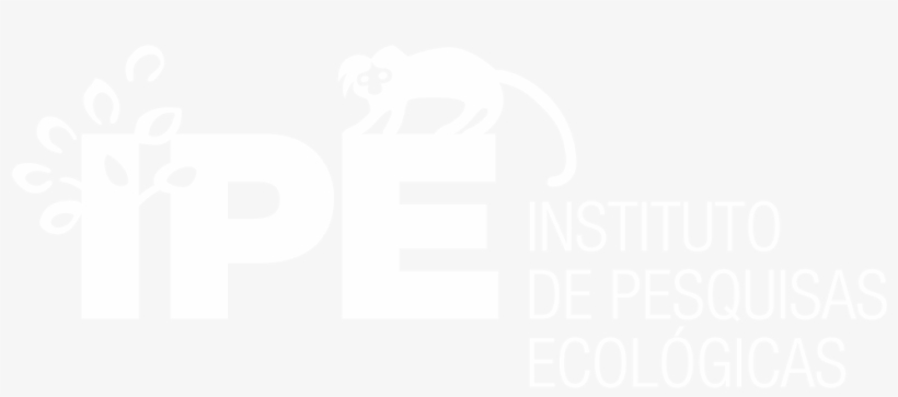 Sangue, Suor, Lágrimas E Números Fazendo Seu Esforço - Png Format Twitter Logo White, transparent png #8608283