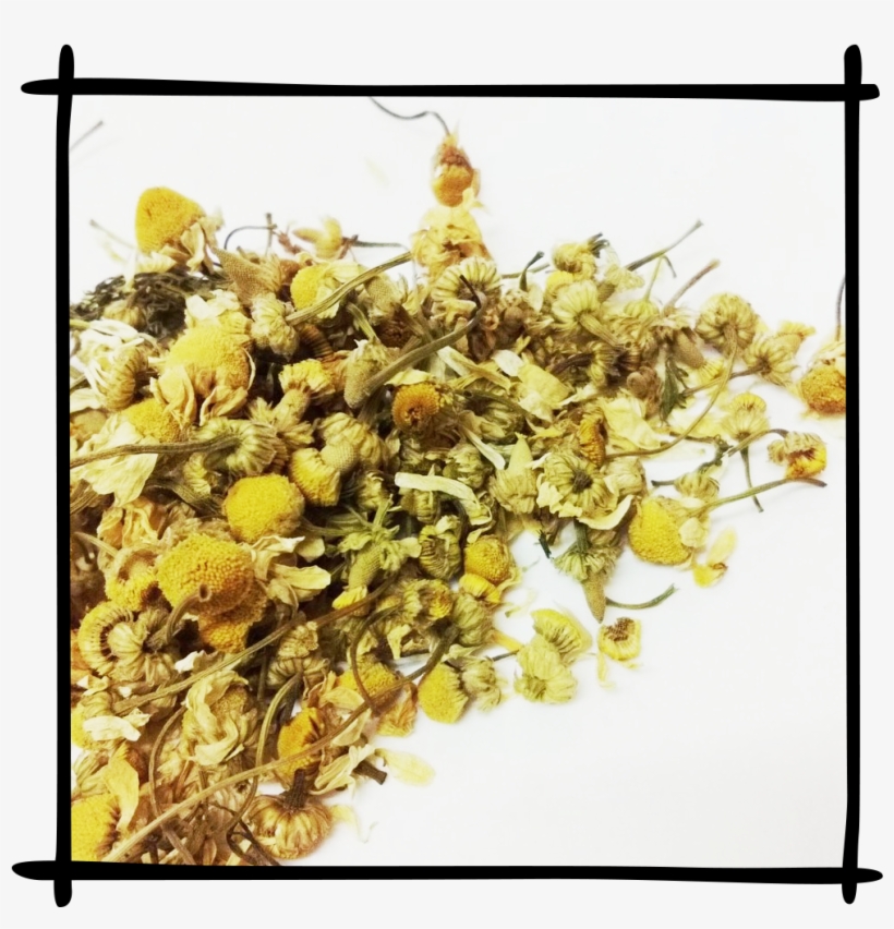 Loose Leaf Chamomile Flowers - Kenya Tea, transparent png #8608531