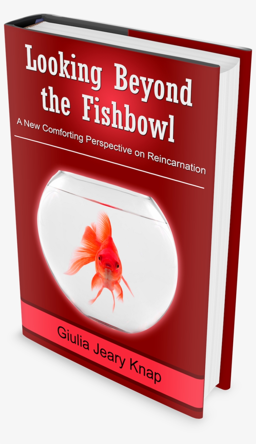 We Do Not Have To Be Reborn At Least, Not In The Traditional - Hermit Crab, transparent png #8608615