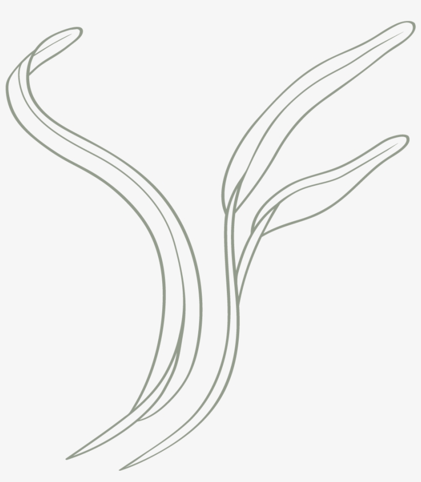 I Use A Zippo That I've Had For 10 Years To Light A - Line Art, transparent png #8612577