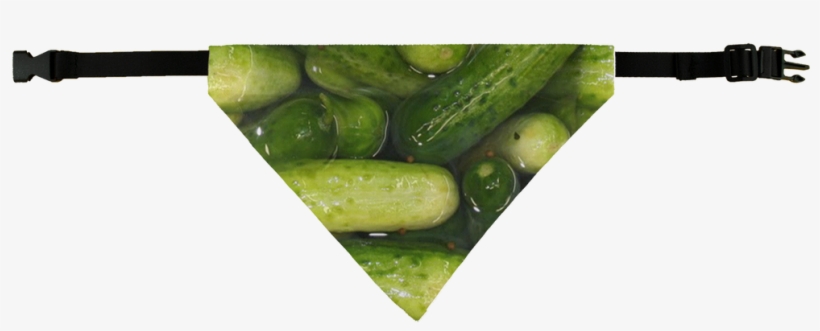 Pickles Pet Bandana - Cucumber, transparent png #8613520
