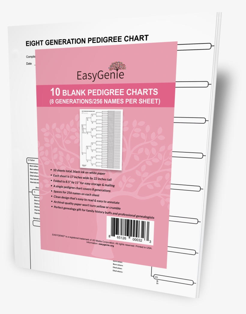 Pedigree Chart 30 Generations, transparent png #8615071