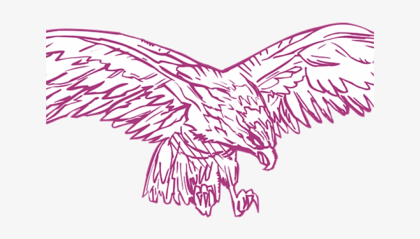Drawn Hawk Eagle Wings Spread - Clip Art, transparent png #8615285