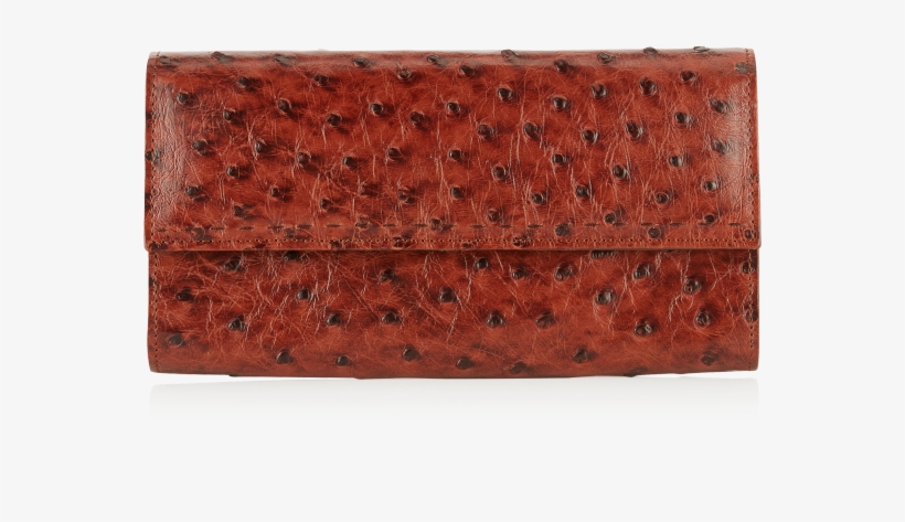 Please Select A Country - Wallet, transparent png #8615321