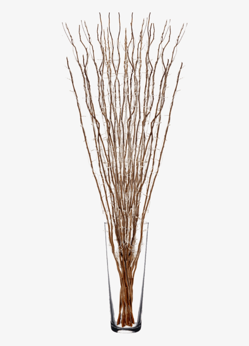 Twigs Willow With Fairy Lights - Vase, transparent png #8615417