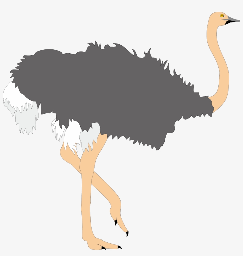 Common Clip Art Ugly Transprent Png Ⓒ - 駝鳥 卡通, transparent png #8615423