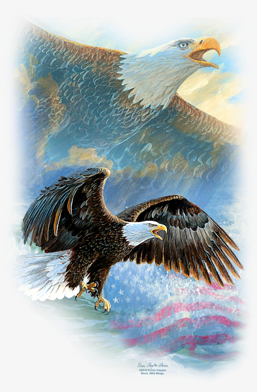 Product Image Alt - Bald Eagle, transparent png #8615601