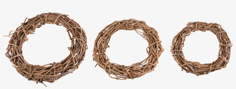 Barbed Wire, transparent png #8615671