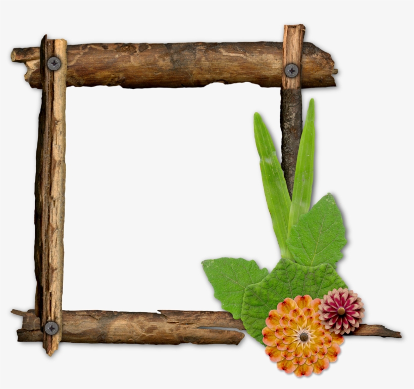 Rustic Twig Picture Frames Png - Lantana, transparent png #8615849