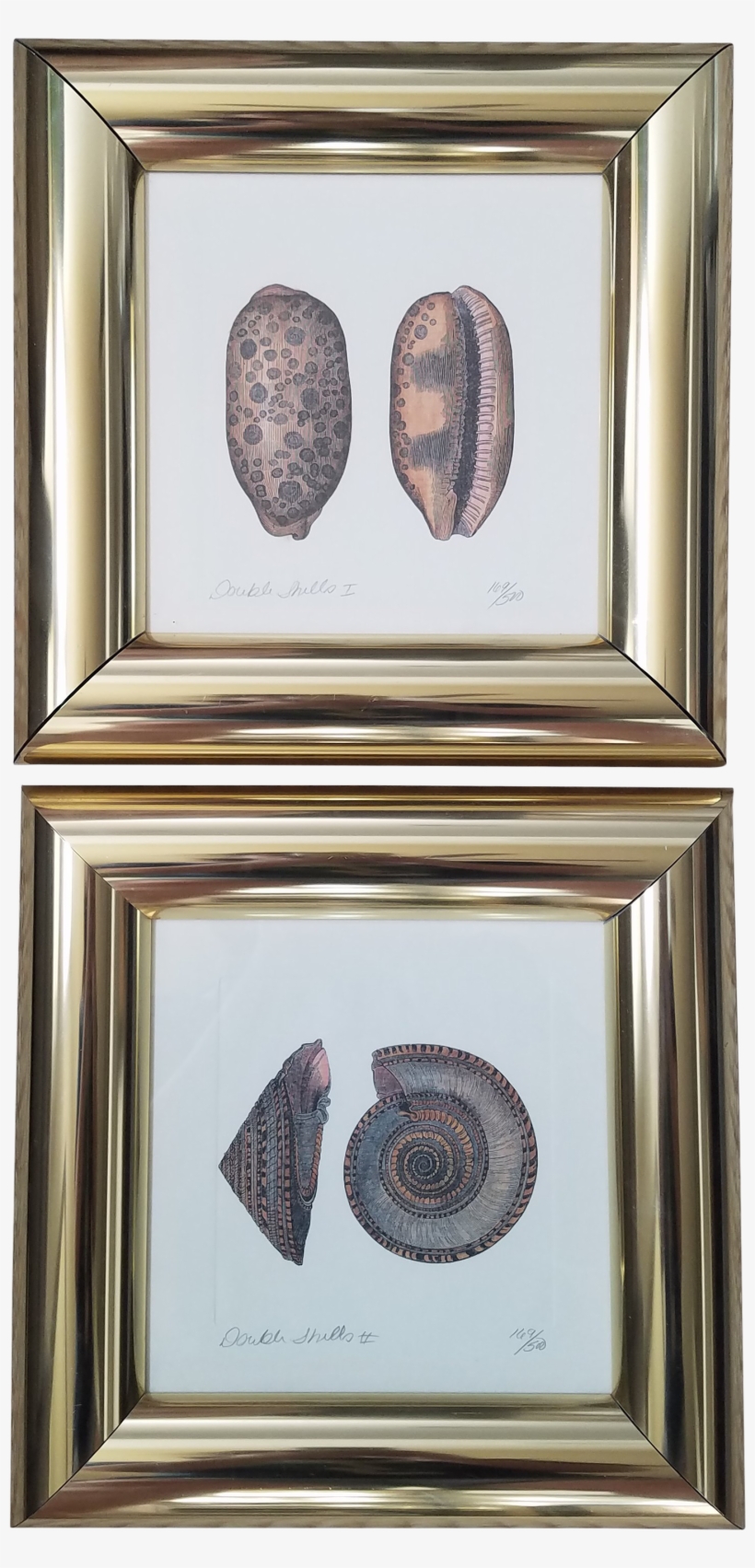 Brass Framed Numbered Prints A Pair Chairish, transparent png #8617900