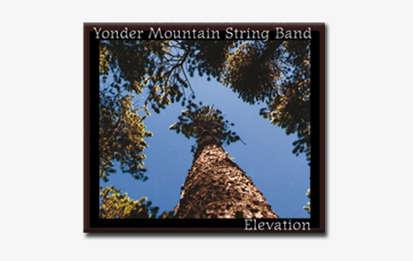 2986603 - Yonder Mountain String Band Elevation, transparent png #8618053