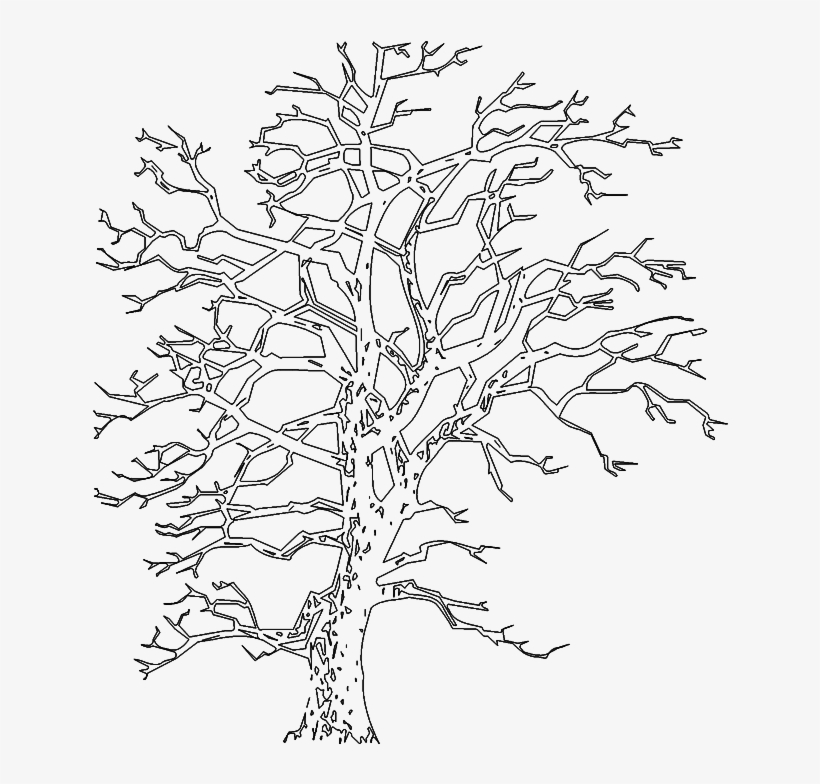 Tree 995 Elevation - Line Art, transparent png #8618281