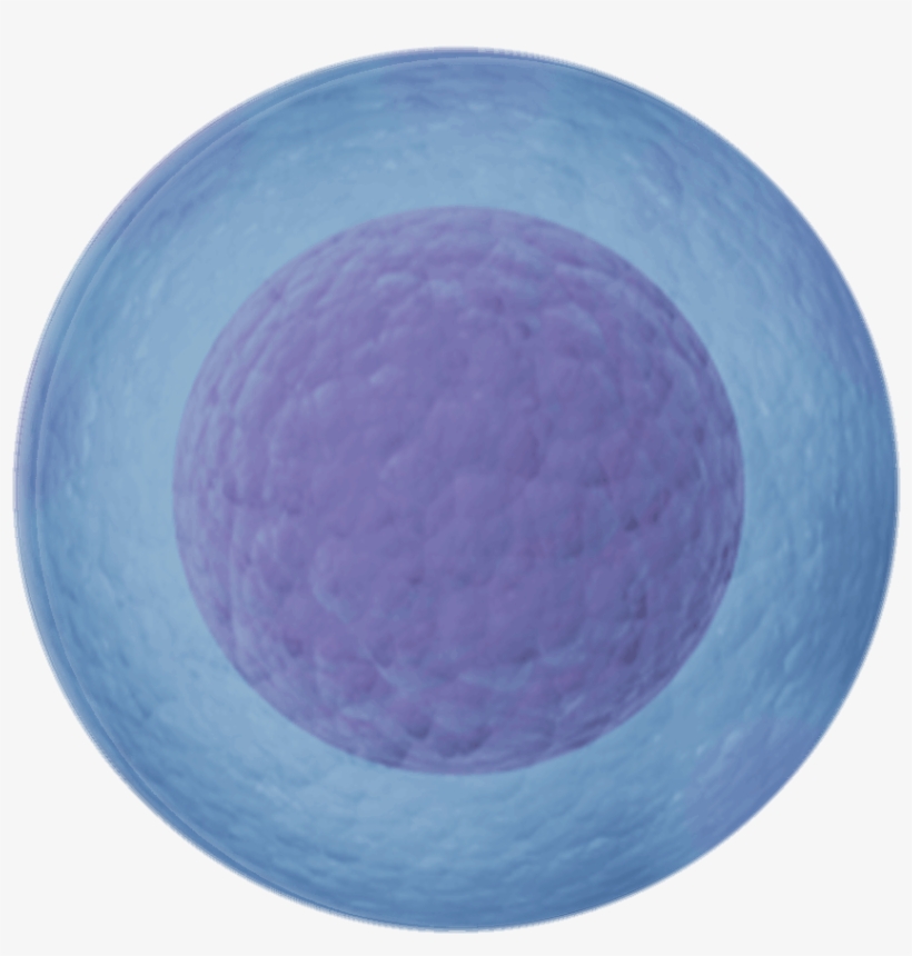 Connecting People To Improve Lives - Circle, transparent png #8619032