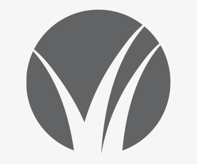 Bug In Gray - Better Homes & Gardens Real Estate Llc, transparent png #8619754