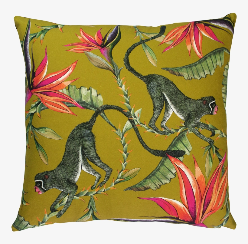 Cushion, transparent png #8620085