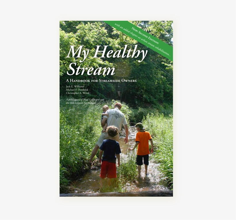 My Healthy Stream 2nd Ed Cover - Poster, transparent png #8621198