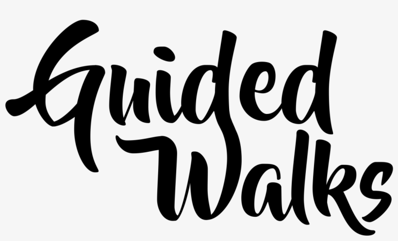 Discover Frome Has Launched Regular Light And Informative - Calligraphy, transparent png #8622446