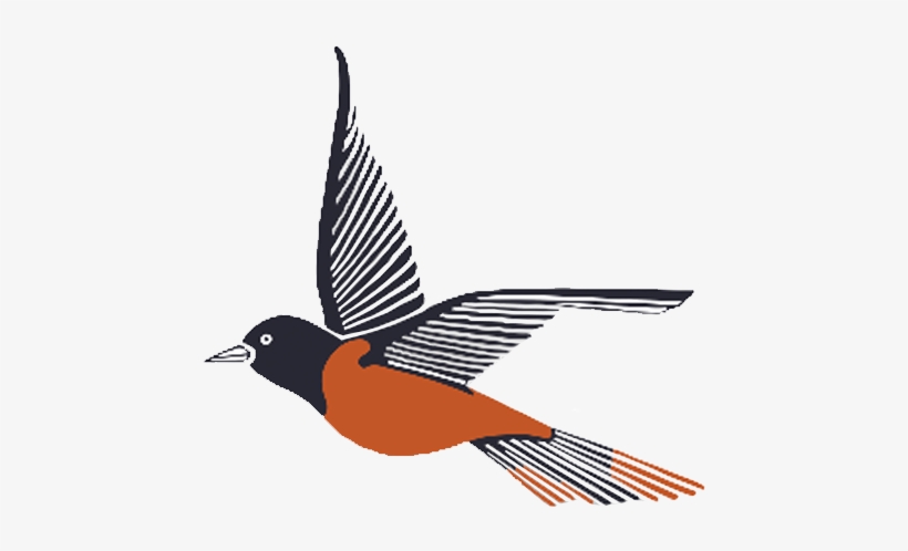 1982-2003 - Old World Flycatcher, transparent png #8622905