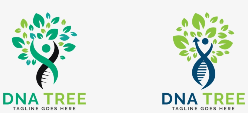 Dna Tree Logo - Graphic Design, transparent png #8623725