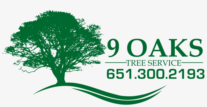 Tree Service Woodbury Mn - Green Oak Tree Silhouette, transparent png #8623838