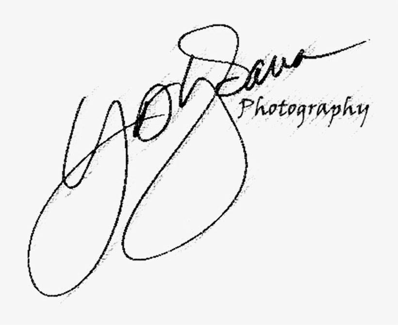 Professional Photographer - Line Art, transparent png #8623876