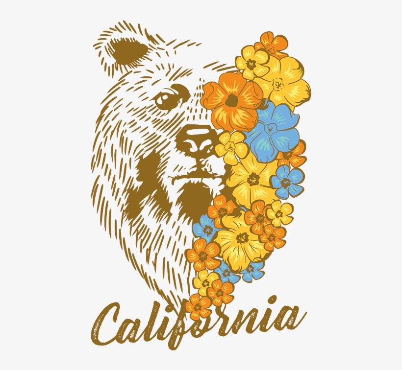 California Bear Flowers - Illustration, transparent png #8625314