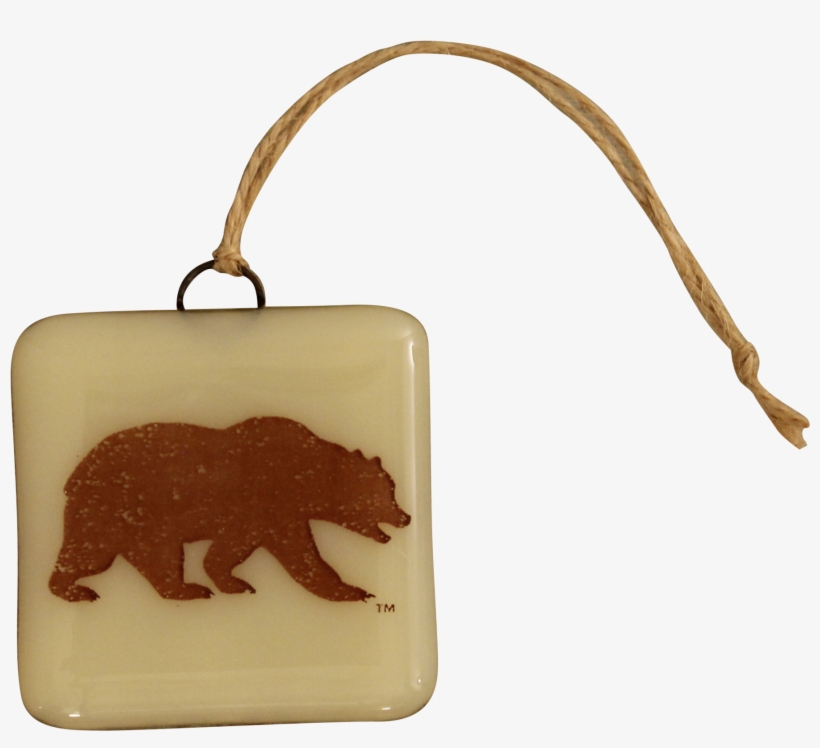 Cal Bear Glass Ornament - Indian Elephant, transparent png #8625697