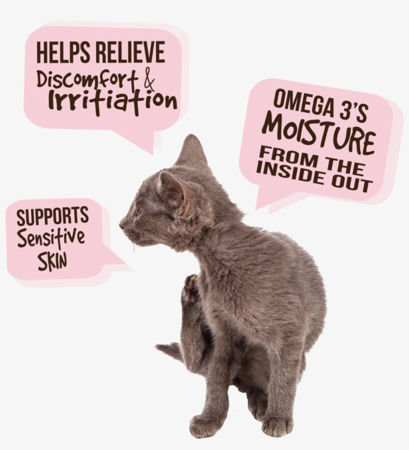 Skin &amp - Allergy - Children's Brain Tumor Foundation, transparent png #8626180