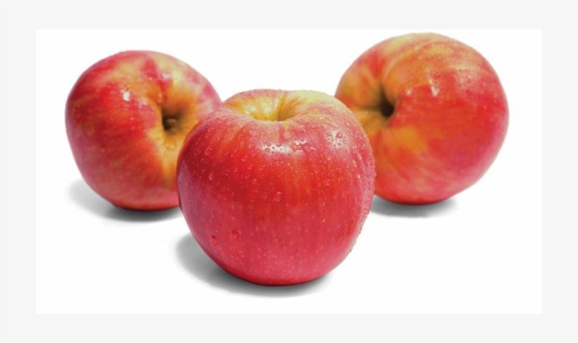 1000 X 500 14 - Honeycrisp Apple No Background, transparent png #8627481